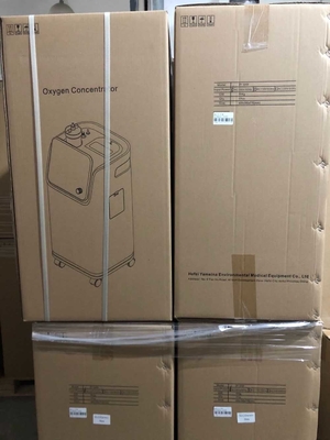 Huistherapie Draagbare de Concentratormachine van de 10 Liter Medische Zuurstof