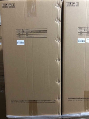 Huistherapie Draagbare de Concentratormachine van de 10 Liter Medische Zuurstof