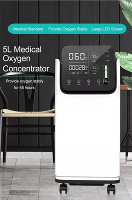 Huistherapie Draagbare de Concentratormachine van de 10 Liter Medische Zuurstof