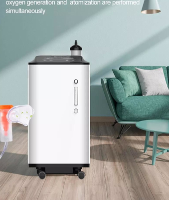 Concentrator van de huishouden de Medische 10L Draagbare Zuurstof met Verstuiver