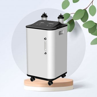 Van de de Zuurstofconcentrator 10l van de gezondheidszorg93% Zuiverheid de Draagbare Medische Rang