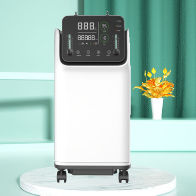 De Concentrator van de gezondheidszorg10l Zuurstof 10 Liter Draagbaar Privé-gebruik