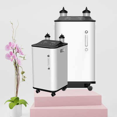 Fysieke Therapie 1 - 10L-Zuurstofconcentrator met Verstuiver en het LEIDENE Scherm
