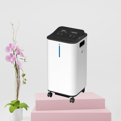 De medische Concentrator Draagbare Machineor van Thuiszorg5lpm O2
