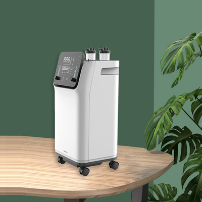 De dubbele Concentrator van de Stroom10l Zuurstof voor Allerlei Mensen