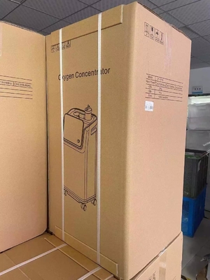 Volledige Intelligente draagbare de Machinegenerator van de Verstuiverszuurstof 10 Liter