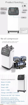 Dubbele de Concentratormachine 10 L van O2 van de Stroom Mobiele Zuurstof