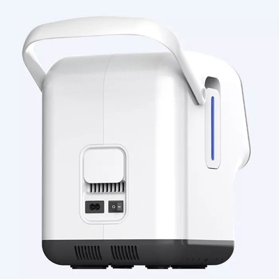 Regelbare Hoge Stroom de Concentratorsysteem 220V van de 1 Literzuurstof