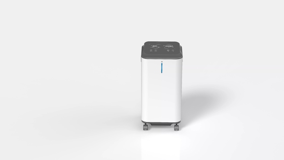 Abs Medische Rang het Apparaat van de de Concentratorgenerator van de 5 Literzuurstof