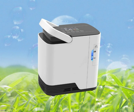 Enig van de de Zuurstofconcentrator van Stroom Draagbaar 2 Liter het Huisgebruik 220v