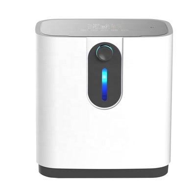 OEM 2l de Elektrische Concentrator van de Zuurstofgenerator voor Zaal